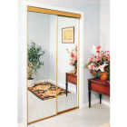 Erias 4050 Series 59 In. W. x 80-1/2 In. H. Mayan Gold Top Hung Mirrored Bypass Door Image 1